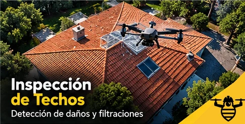 Inspección de techos y cubiertas