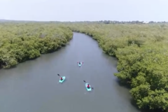 Dronero: JICACAL EN KAYAK