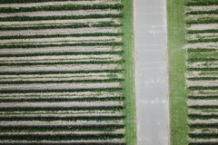 Dronero: DRONERO Y EDITOR