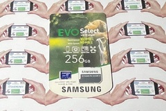 Dronero: TARJETA SAMSUNG EVO SELECT SD 256 + ADAPTADOR  