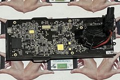 Selling: PLACA PRINCIPAL PARROT BEBOP  