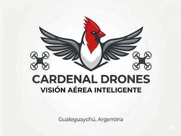 Dronero: Cardenal Drones 