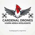 Dronero: Cardenal Drones 