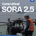 Curso: Curso Virtual SORA 2.5