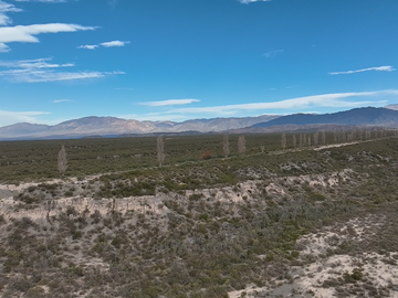 Dronero: Dron captura de imagen
