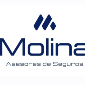 Molina Asesores de Seguros 