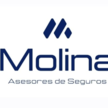 Molina drones