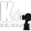 Logo png mkdrone