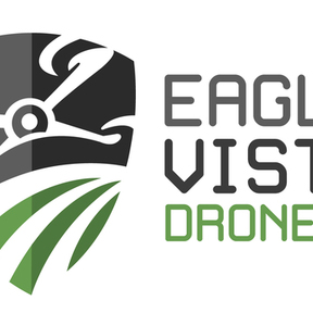 Eagle Vista Drone